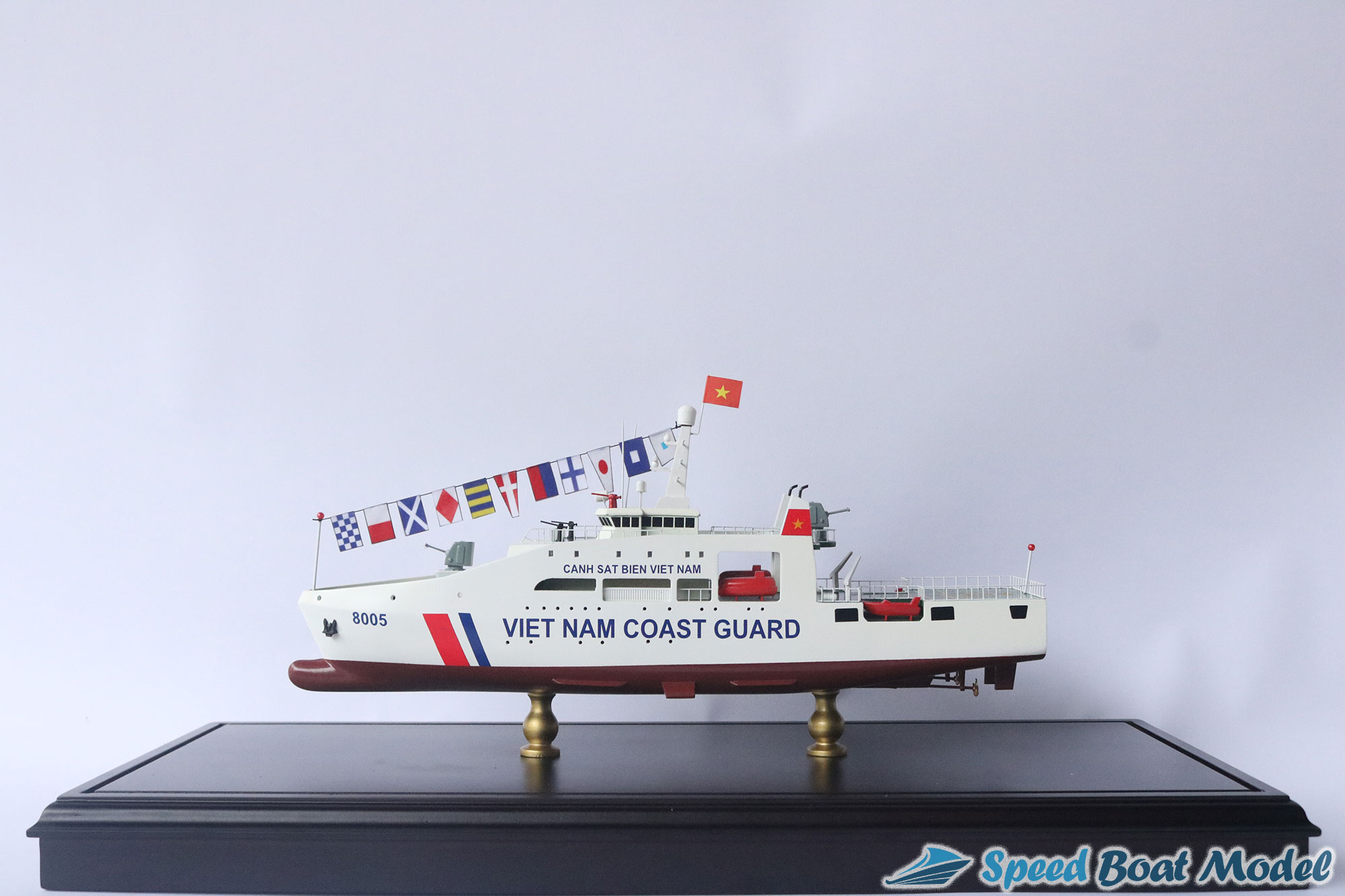 Viet Nam Coast Guard 8005 Warship Model (4)